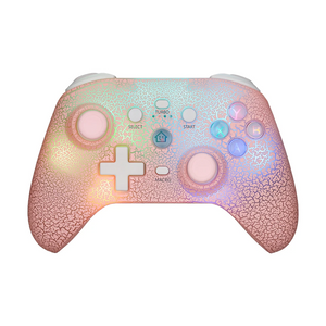 NS 9 RGB Light Wireless Controller For Nintendo Switch and PC