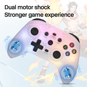 NS 9 RGB Light Wireless Controller For Nintendo Switch and PC